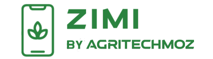 Zimi